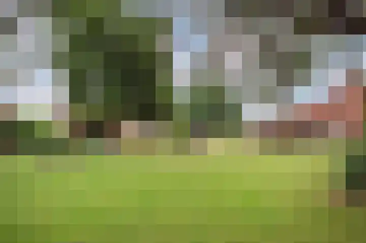 Generaal van Vlijmenstraat 7 Veghel thumbnail 26