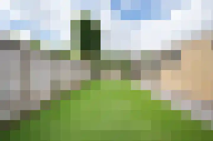 Generaal van Vlijmenstraat 7 Veghel thumbnail 4