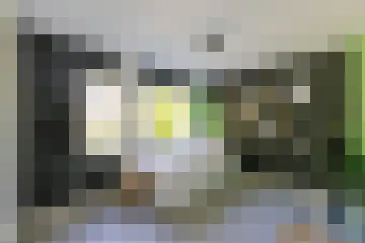 Generaal Winkelmanlaan 4 Aerdenhout thumbnail 27