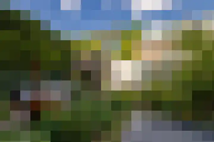 Generaal Winkelmanlaan 4 Aerdenhout thumbnail 47