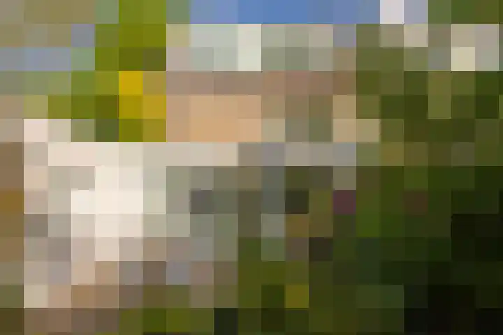 Generaal Winkelmanlaan 4 Aerdenhout thumbnail 48