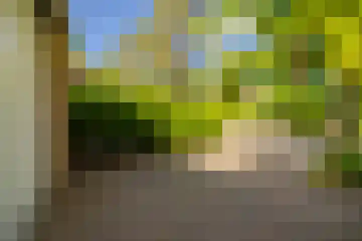 Generaal Winkelmanlaan 4 Aerdenhout thumbnail 56