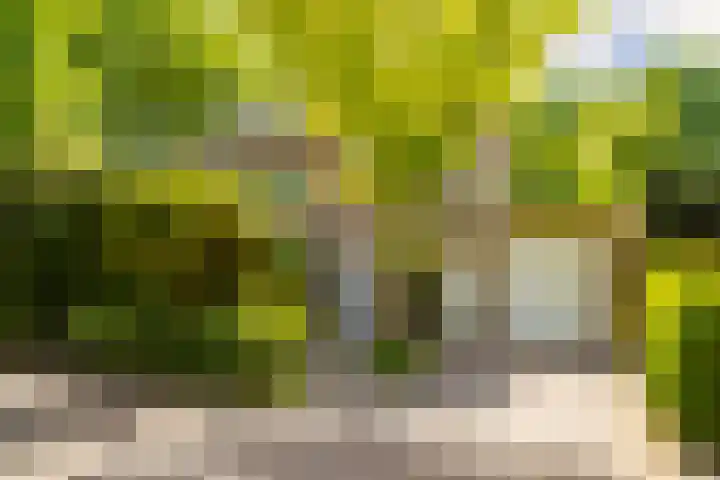 Generaal Winkelmanlaan 4 Aerdenhout thumbnail 64