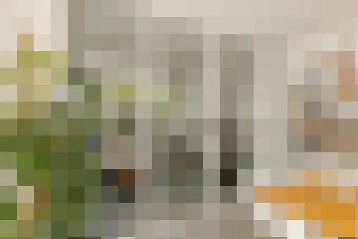 Generaal Winkelmanlaan 4 Aerdenhout thumbnail 8