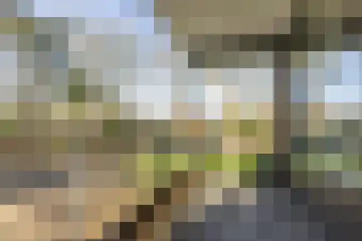 Generaal Winkelmanlaan 49 Aerdenhout thumbnail 18