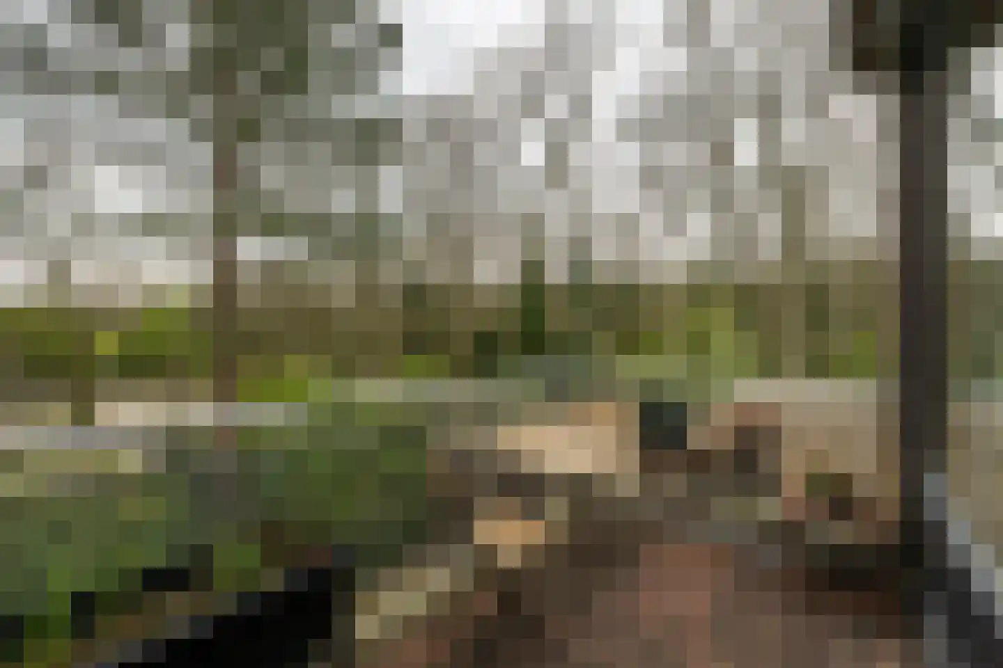 Generaal Winkelmanlaan 59 Aerdenhout thumbnail 8