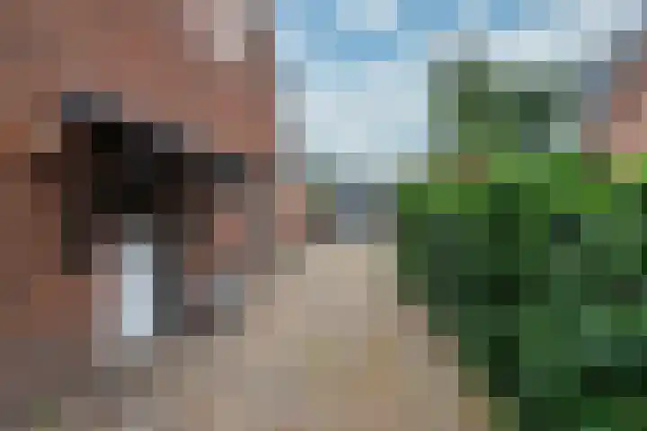 Generaal Winkelmanstraat 121 Soesterberg thumbnail 8