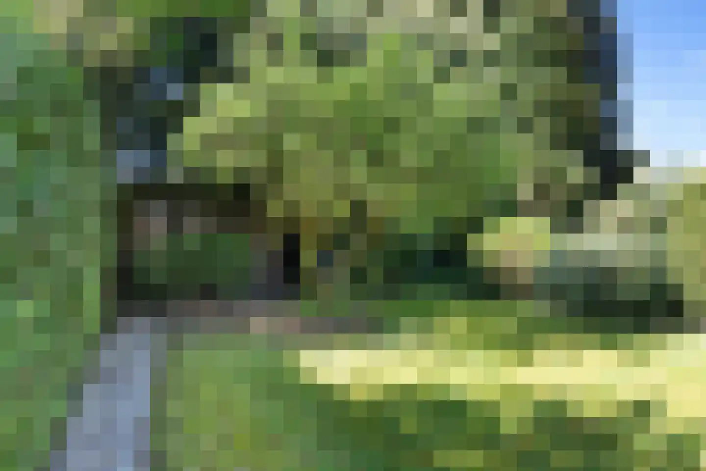 Generaal Winkelmanstraat 126 Soesterberg thumbnail 37