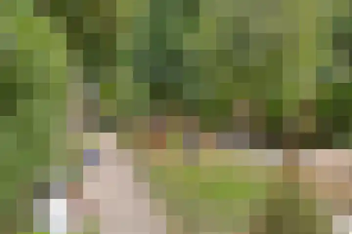 Generaal Winkelmanstraat 127 Soesterberg thumbnail 34