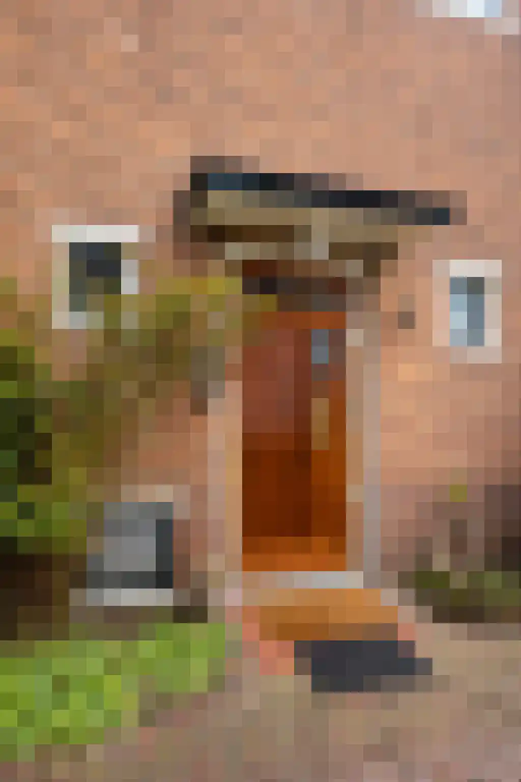 Generaal Winkelmanstraat 134 Soesterberg thumbnail 6