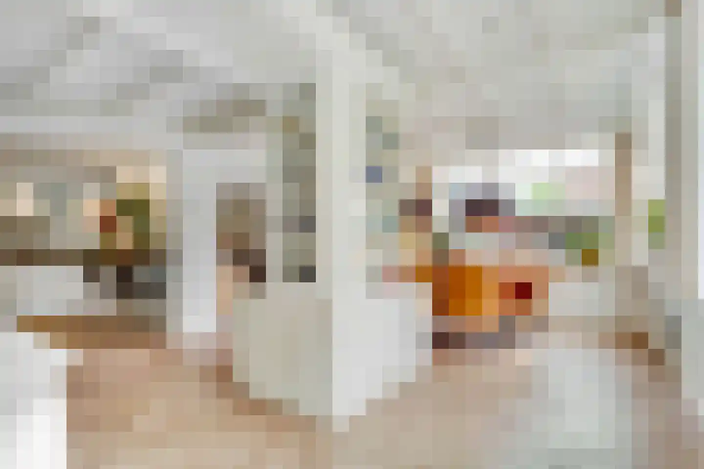 Generaal Winkelmanstraat 155 Soesterberg thumbnail 19