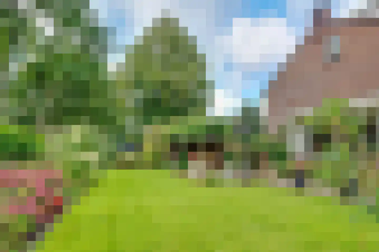 Generaal Winkelmanstraat 155 Soesterberg thumbnail 43