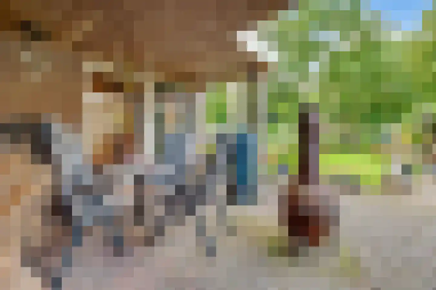 Generaal Winkelmanstraat 155 Soesterberg thumbnail 45