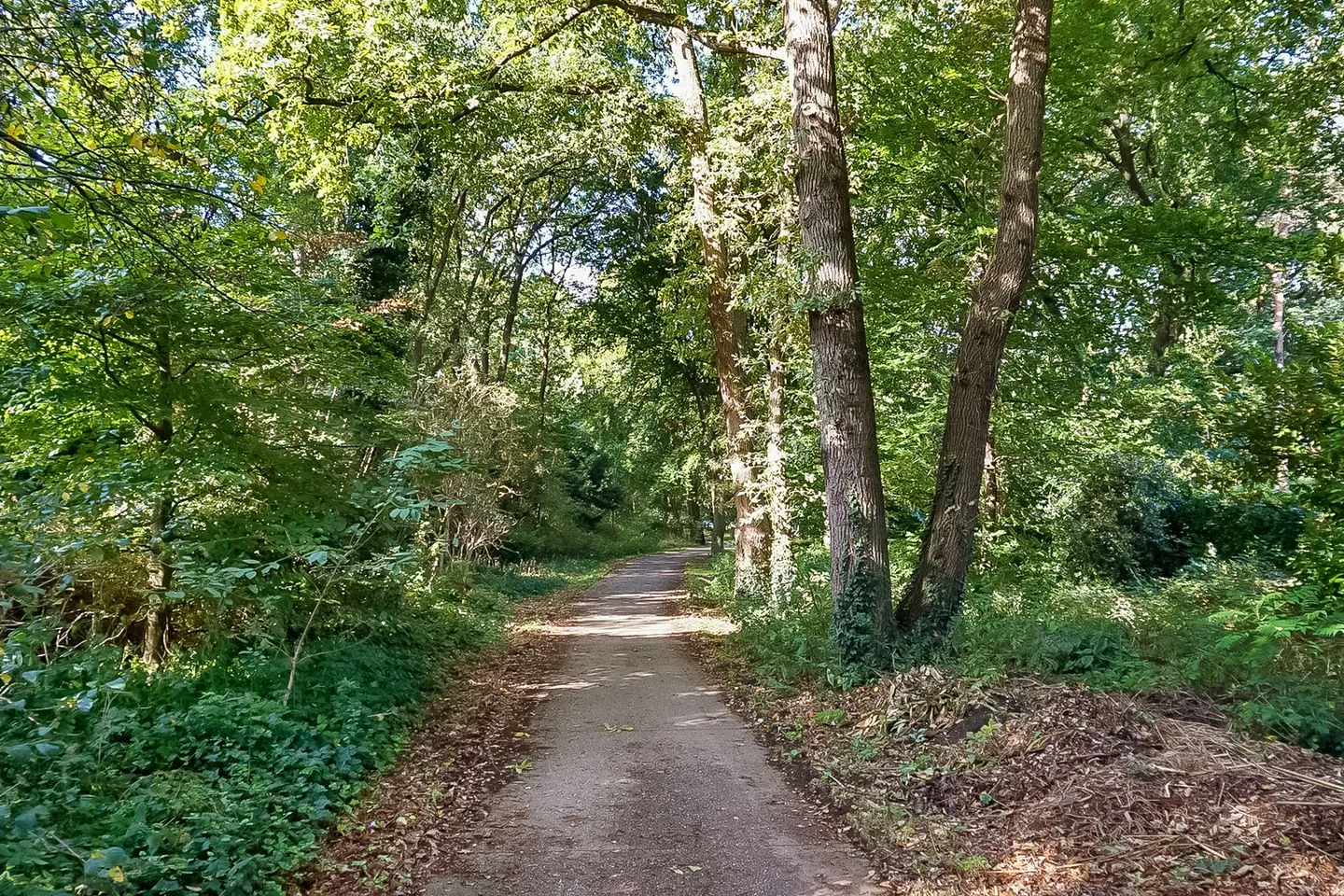Generaal Winkelmanstraat 155 Soesterberg thumbnail 58