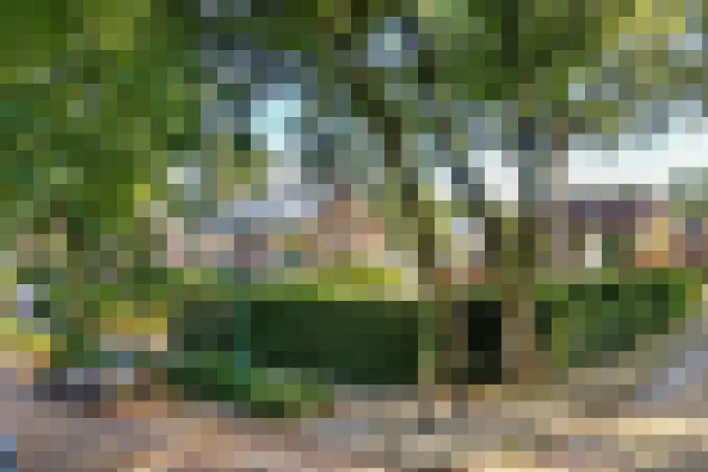 Generaal Winkelmanstraat 155 Soesterberg thumbnail 6
