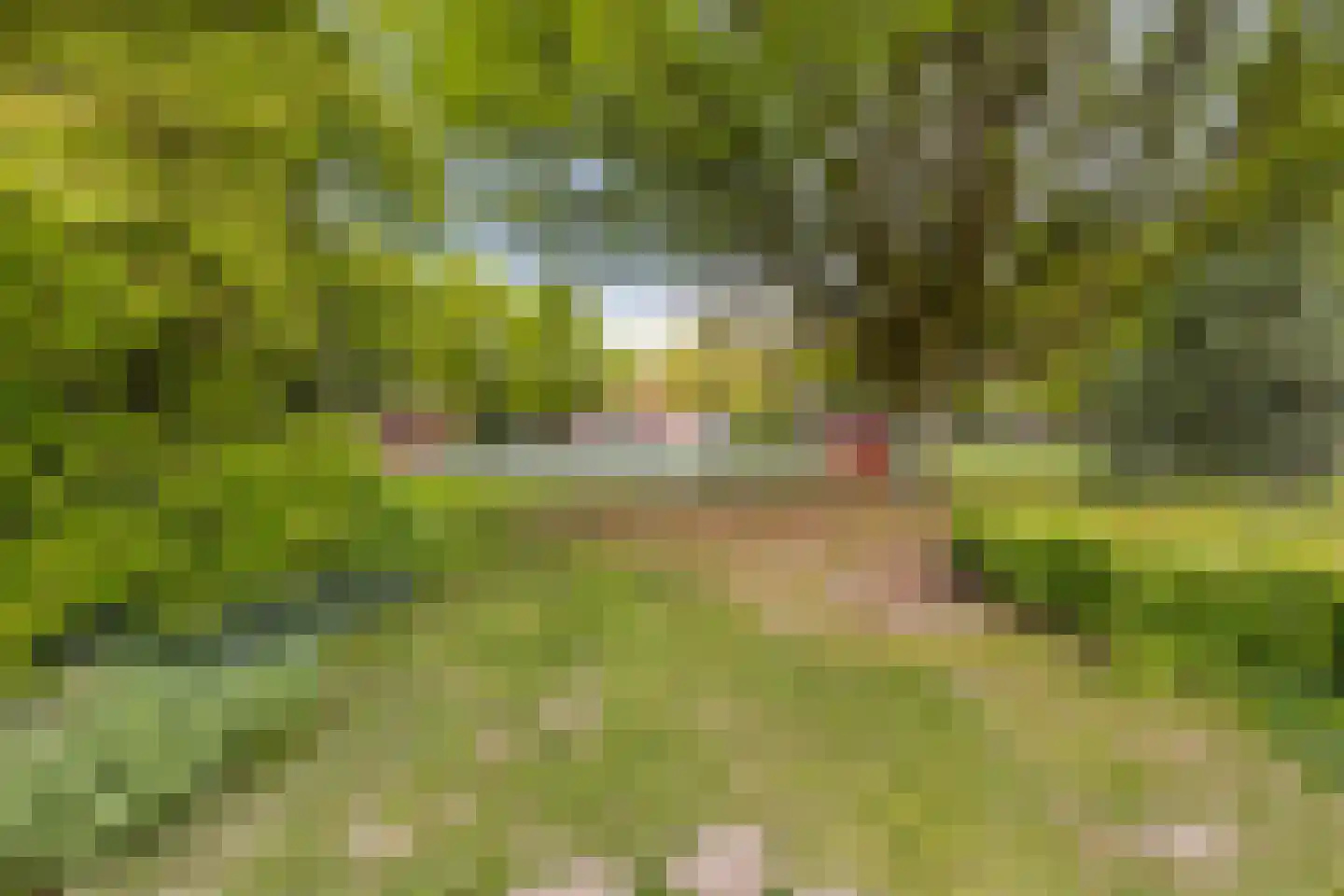 Generaal Winkelmanstraat 32 Tilburg thumbnail 31