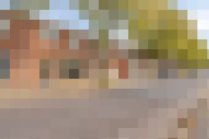Generaal Winkelmanstraat 41 Tilburg thumbnail 33