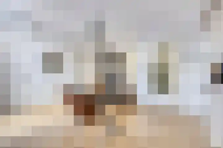 Generaal Winkelmanstraat 41 Tilburg thumbnail 8
