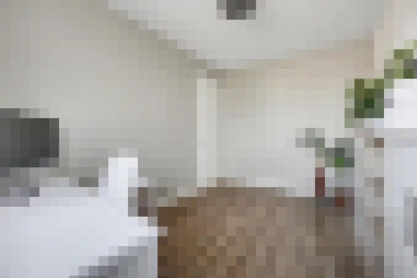 Generaalstraat 4 Huissen thumbnail 25