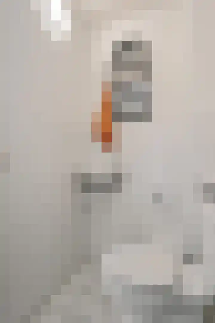 Generator 3 Coevorden thumbnail 10