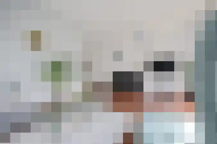 Generator 3 Coevorden thumbnail 14