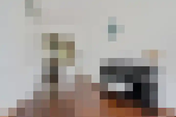 Generator 3 Coevorden thumbnail 15