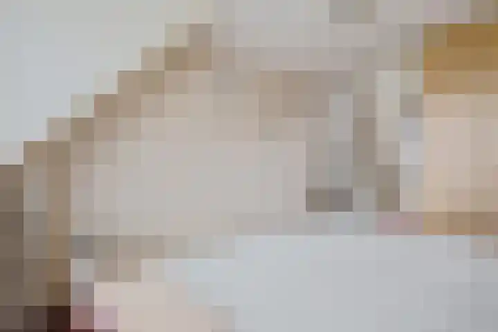 Generator 3 Coevorden thumbnail 26