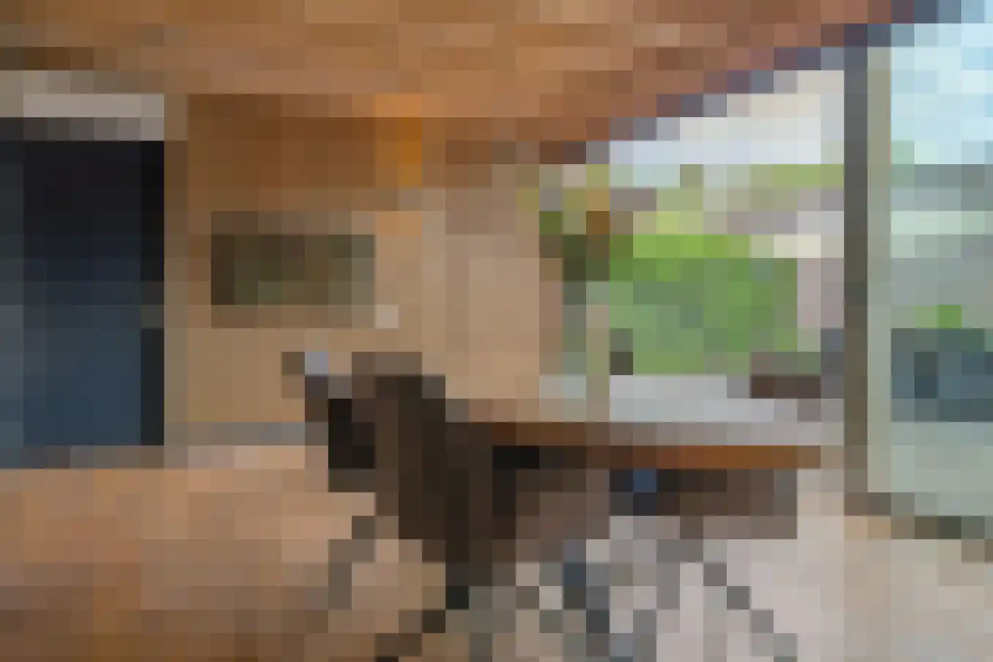 Generator 7 Coevorden thumbnail 16