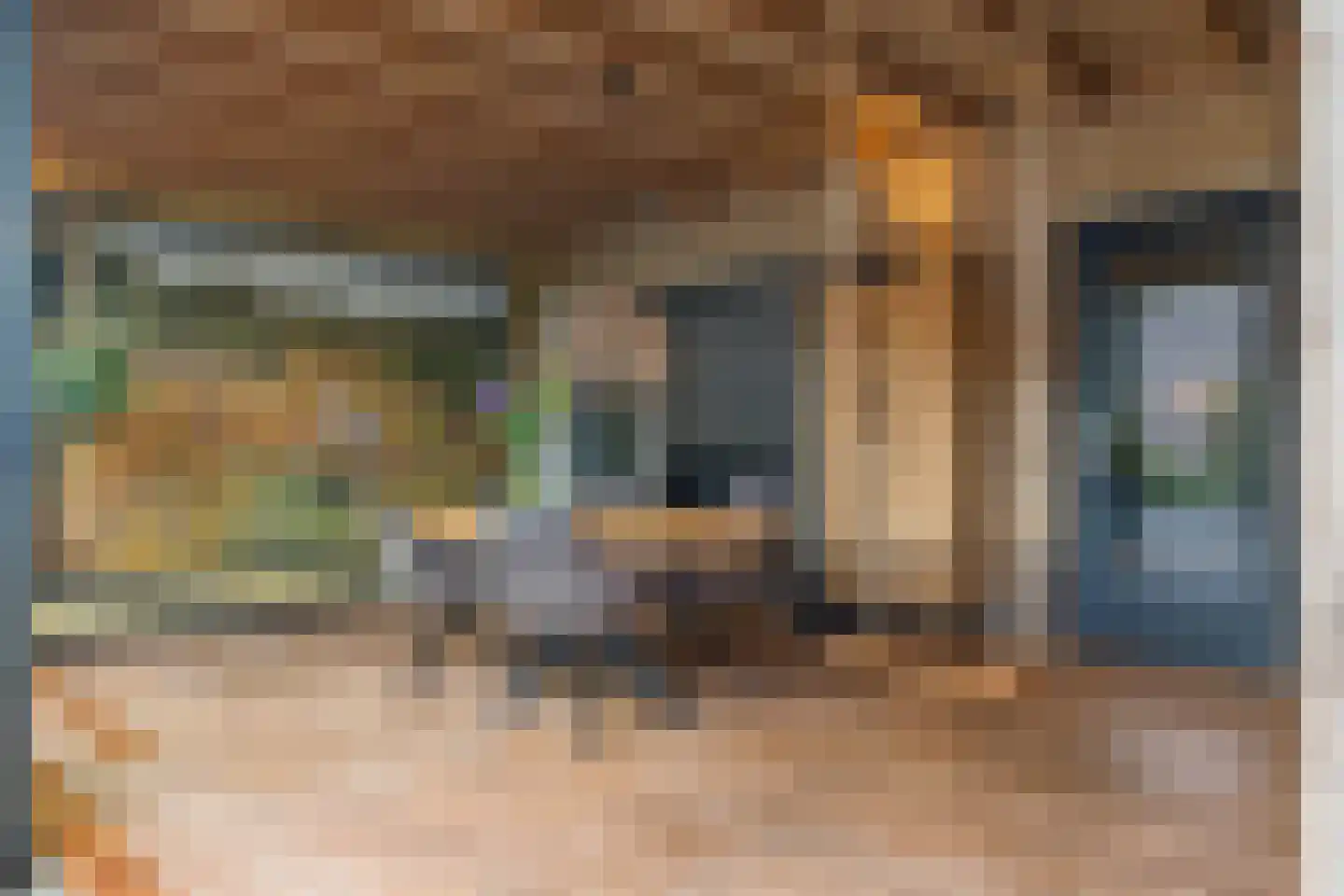 Generator 7 Coevorden thumbnail 18