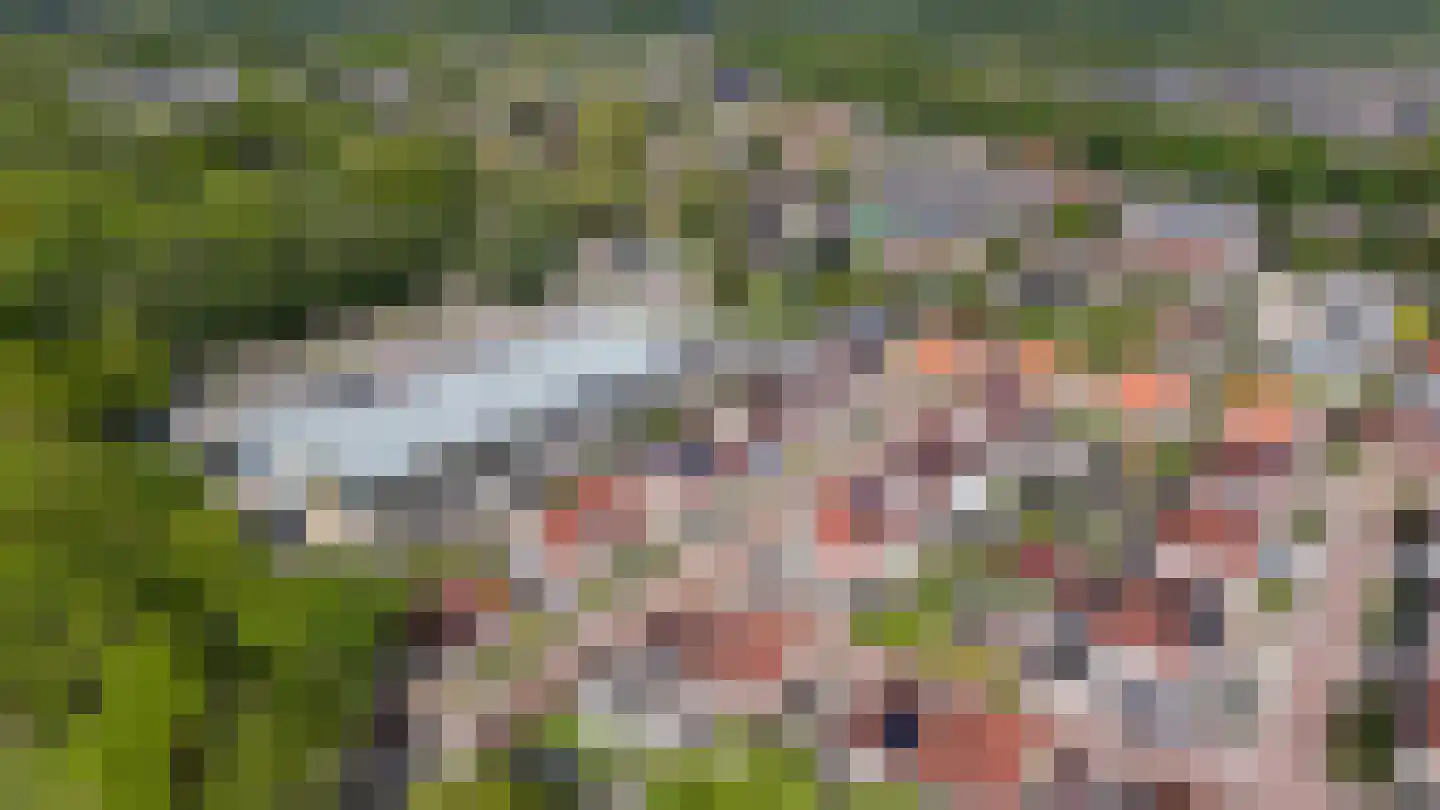 Generator 7 Coevorden thumbnail 43
