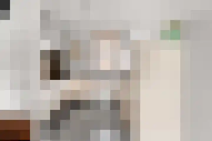 Genesisstraat 22 Lent thumbnail 17