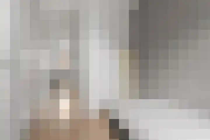 Genesisstraat 22 Lent thumbnail 23
