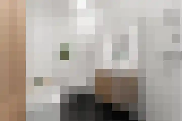 Genesisstraat 22 Lent thumbnail 28