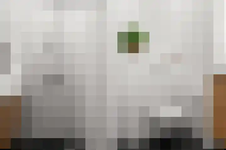 Genesisstraat 22 Lent thumbnail 29