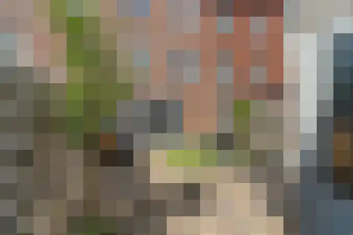 Genesisstraat 22 Lent thumbnail 39