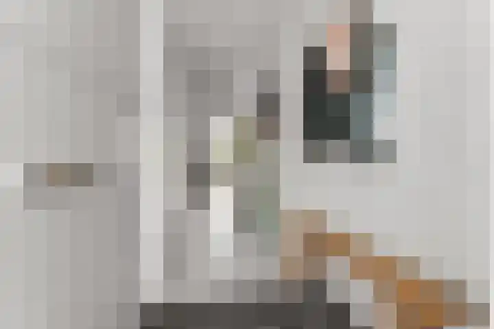 Genesisstraat 22 Lent thumbnail 9