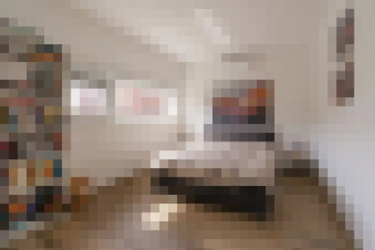 Genesisstraat 5 Lent thumbnail 37