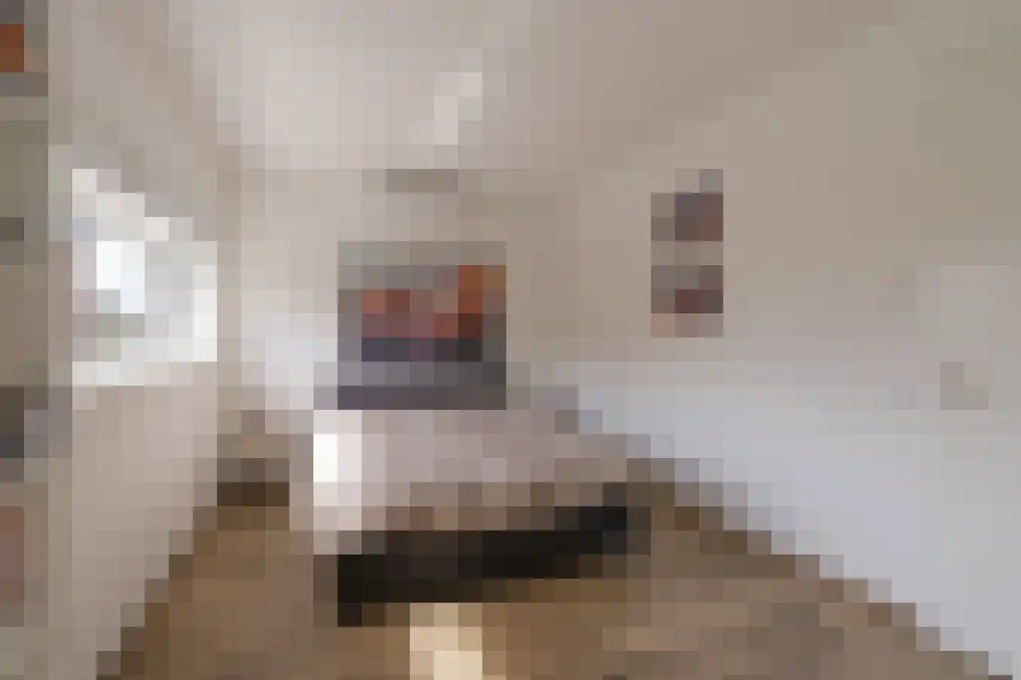 Genesisstraat 5 Lent thumbnail 38