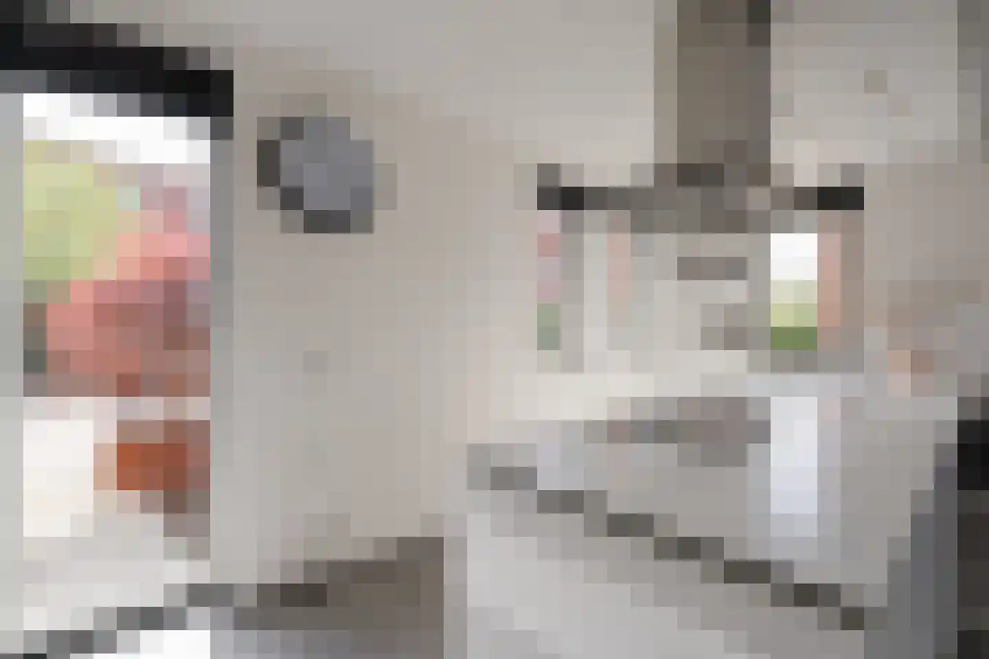 Genesisstraat 5 Lent thumbnail 4