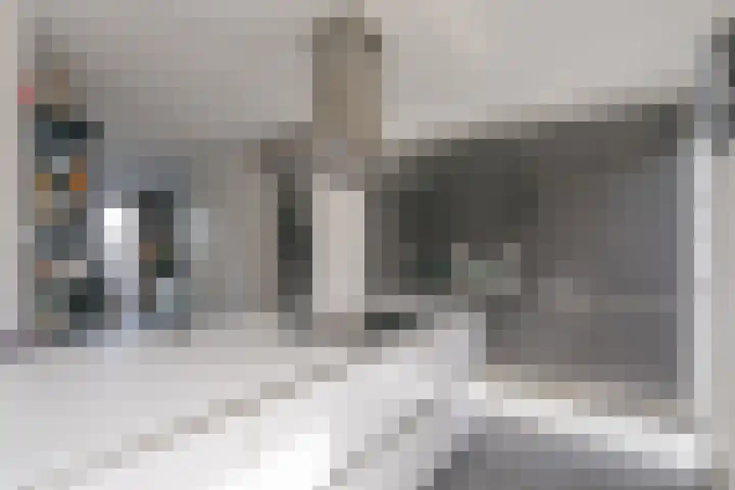 Genesisstraat 5 Lent thumbnail 5