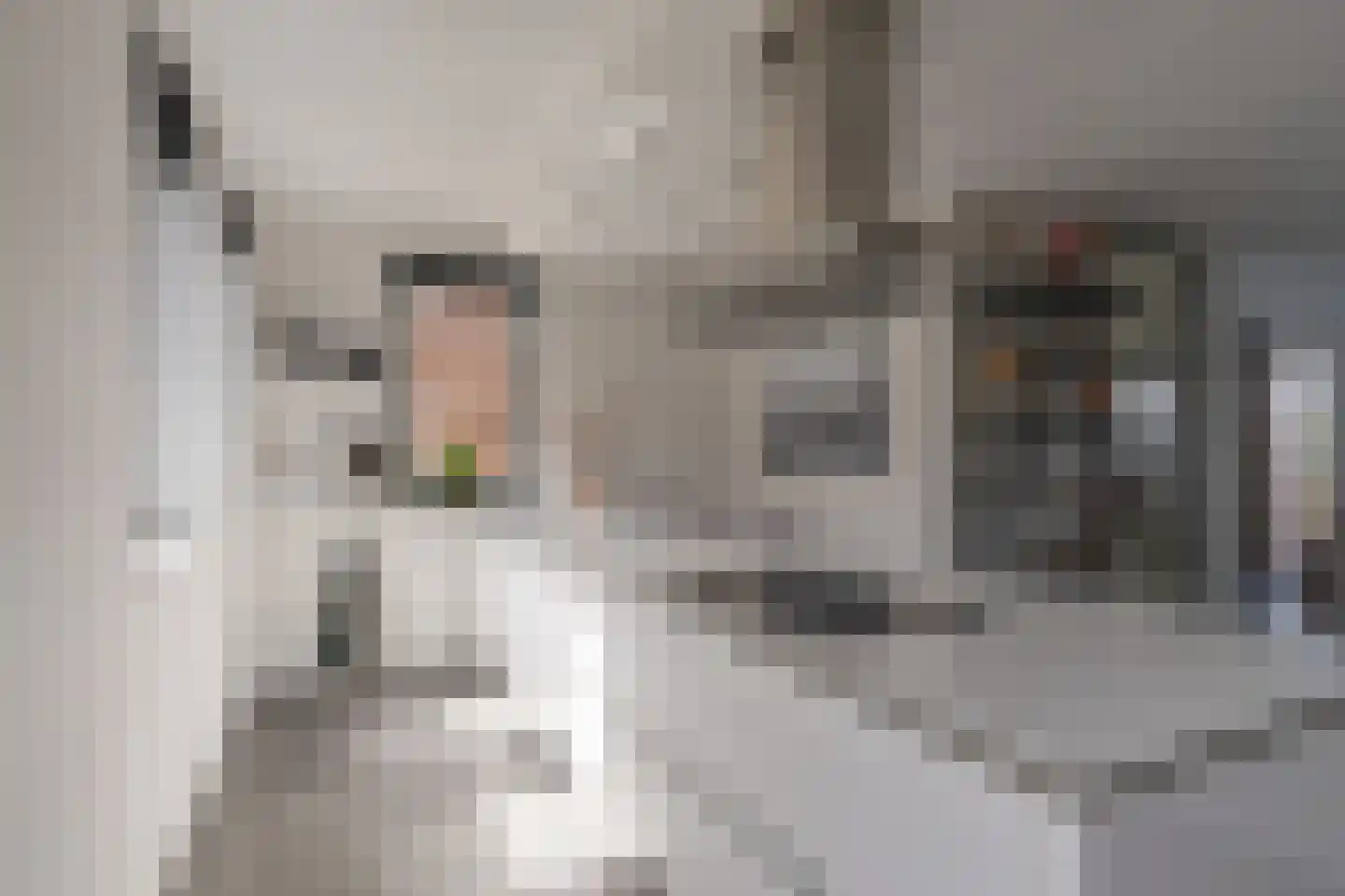 Genesisstraat 5 Lent thumbnail 7