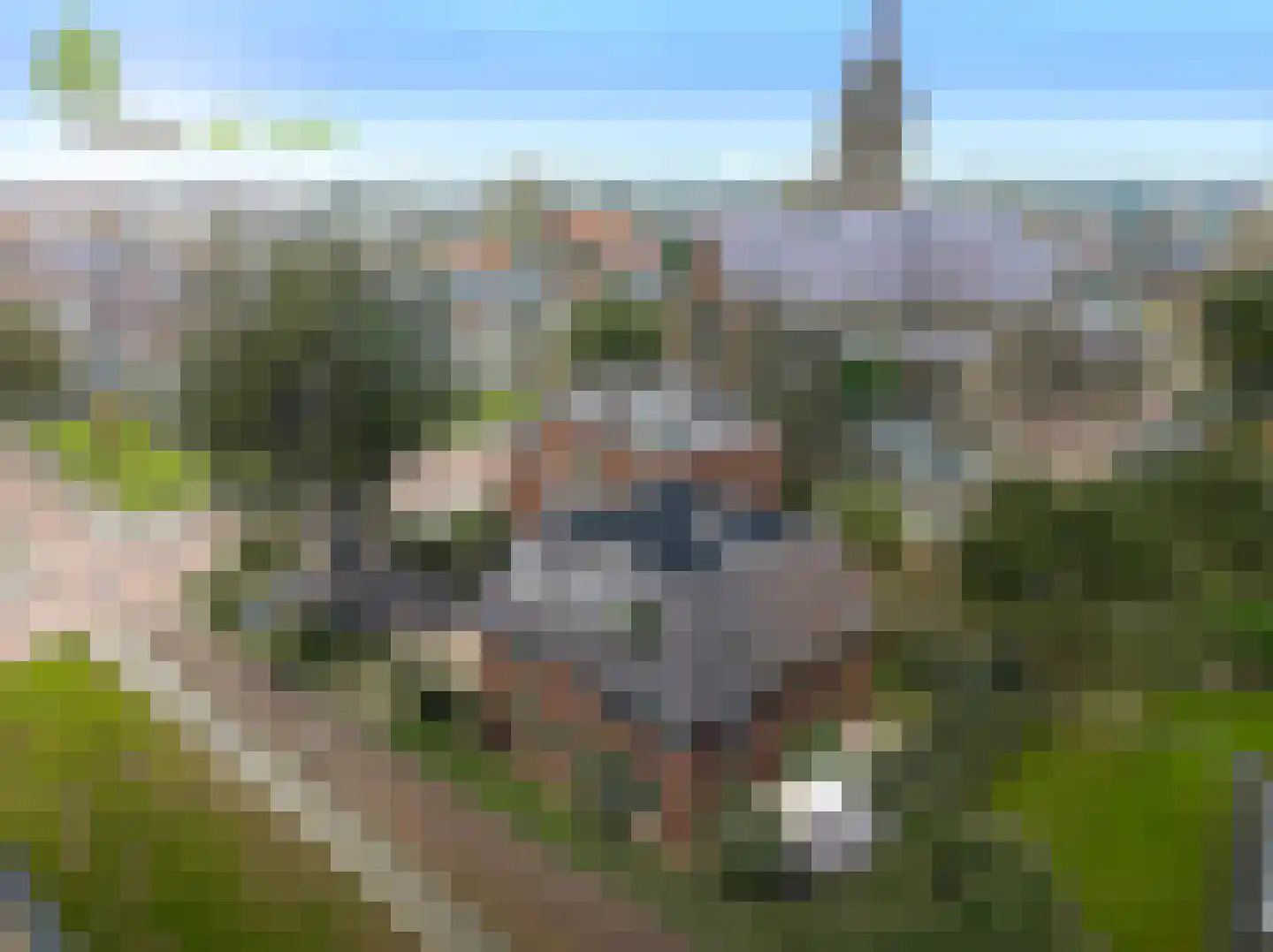 Gengske 18 Millingen aan de Rijn