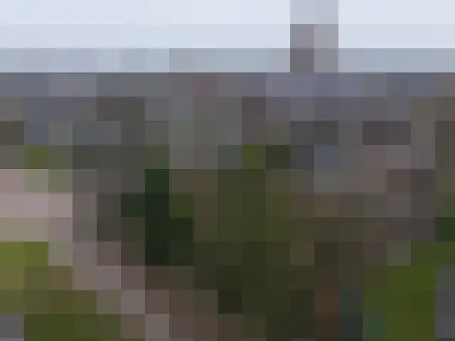 Gengske 20 Millingen aan de Rijn foto 3