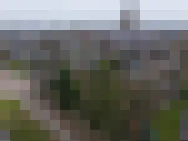 Gengske 20 Millingen aan de Rijn foto 3