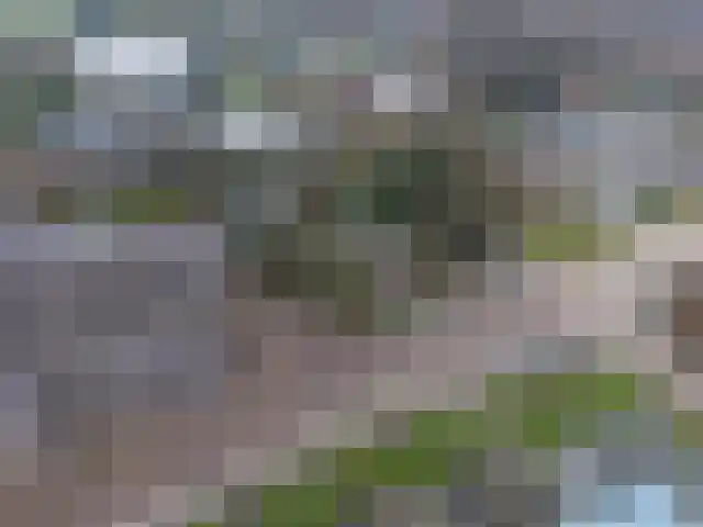 Gengske 20 Millingen aan de Rijn thumbnail 4