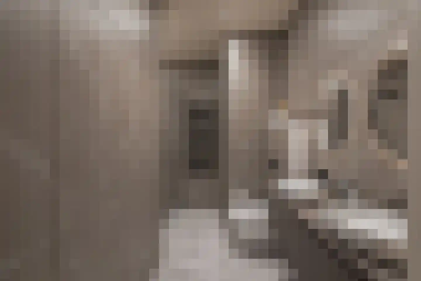 Gengske 20 Millingen aan de Rijn thumbnail 5
