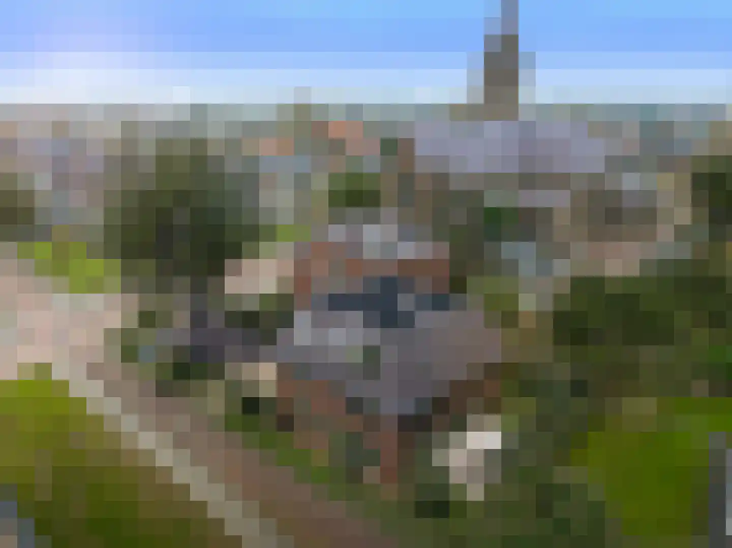 Gengske 22 Millingen aan de Rijn