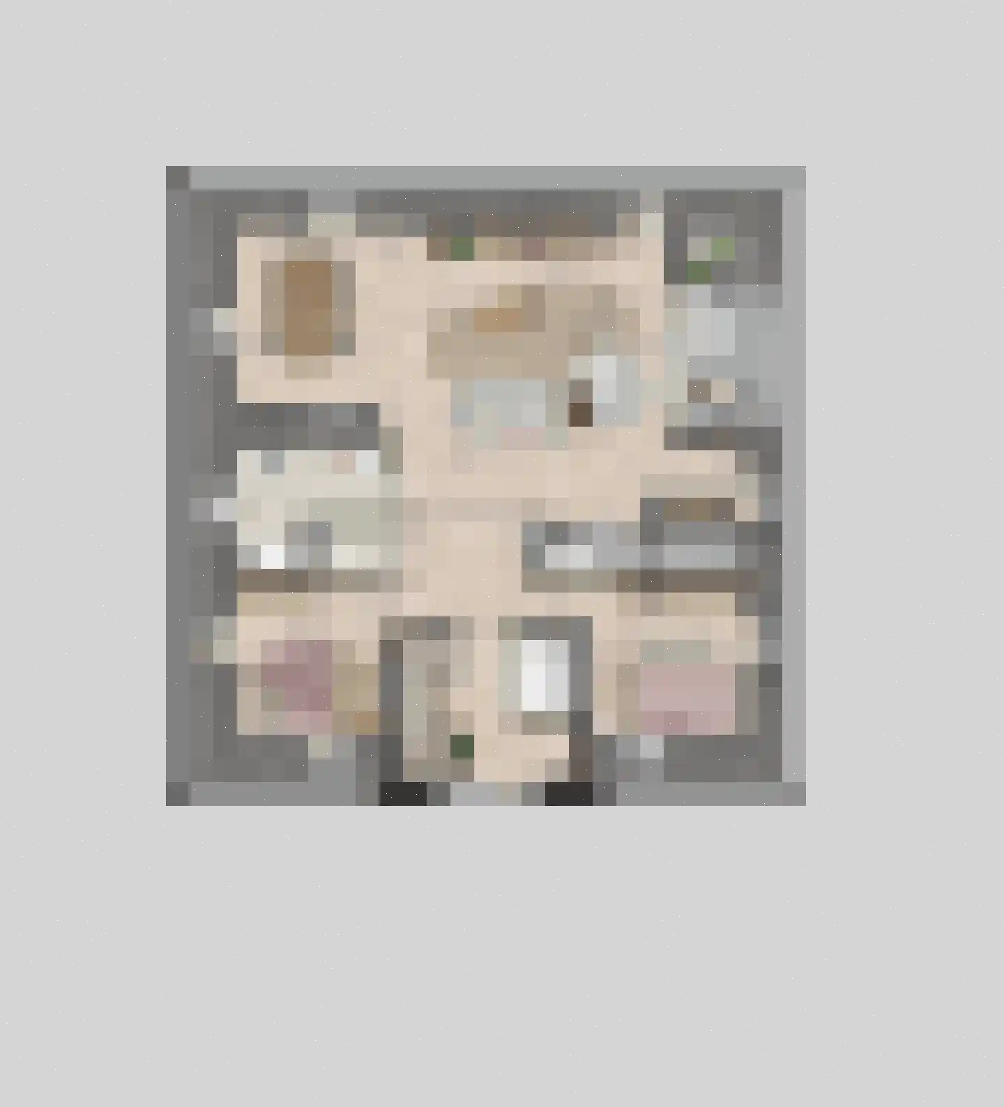 Gengske 22 Millingen aan de Rijn thumbnail 7