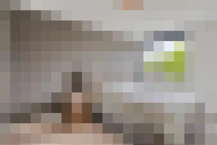 Genhoes 10 's-Hertogenbosch thumbnail 12
