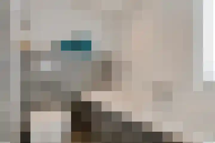 Genhoes 10 's-Hertogenbosch thumbnail 19